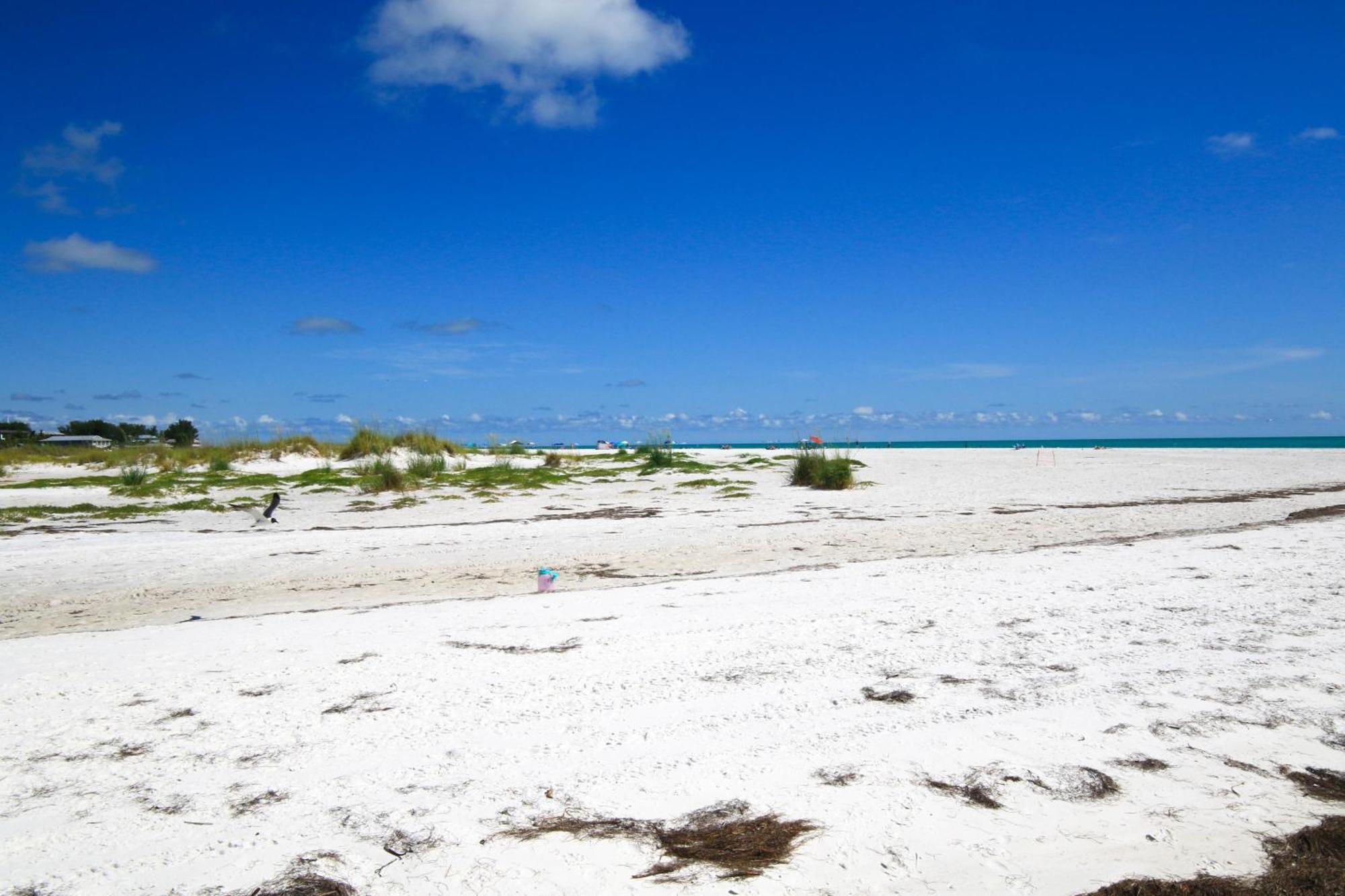 Anna Maria Island Runaway Tropical Dream-One Minute Walk To The Beach-Heated Pool เบรเดนทันบีช ภายนอก รูปภาพ