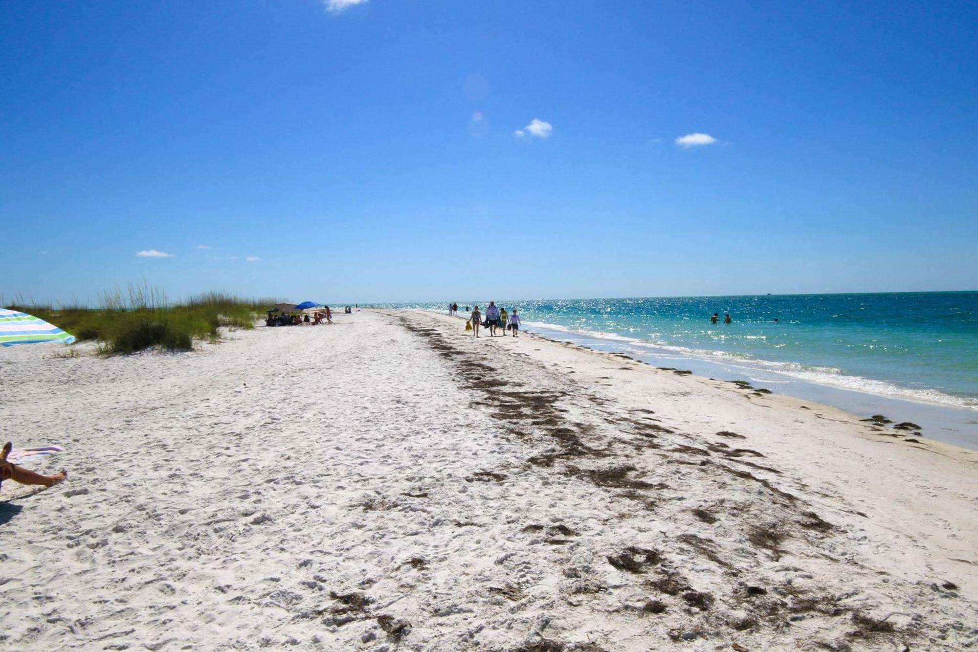 Anna Maria Island Runaway Tropical Dream-One Minute Walk To The Beach-Heated Pool เบรเดนทันบีช ภายนอก รูปภาพ