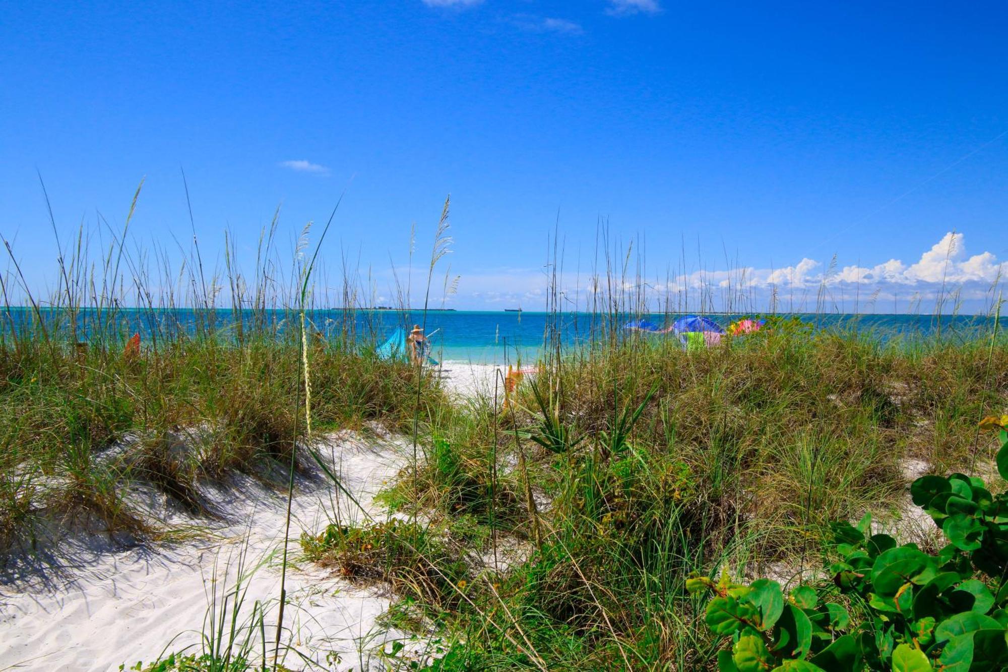Anna Maria Island Runaway Tropical Dream-One Minute Walk To The Beach-Heated Pool เบรเดนทันบีช ภายนอก รูปภาพ