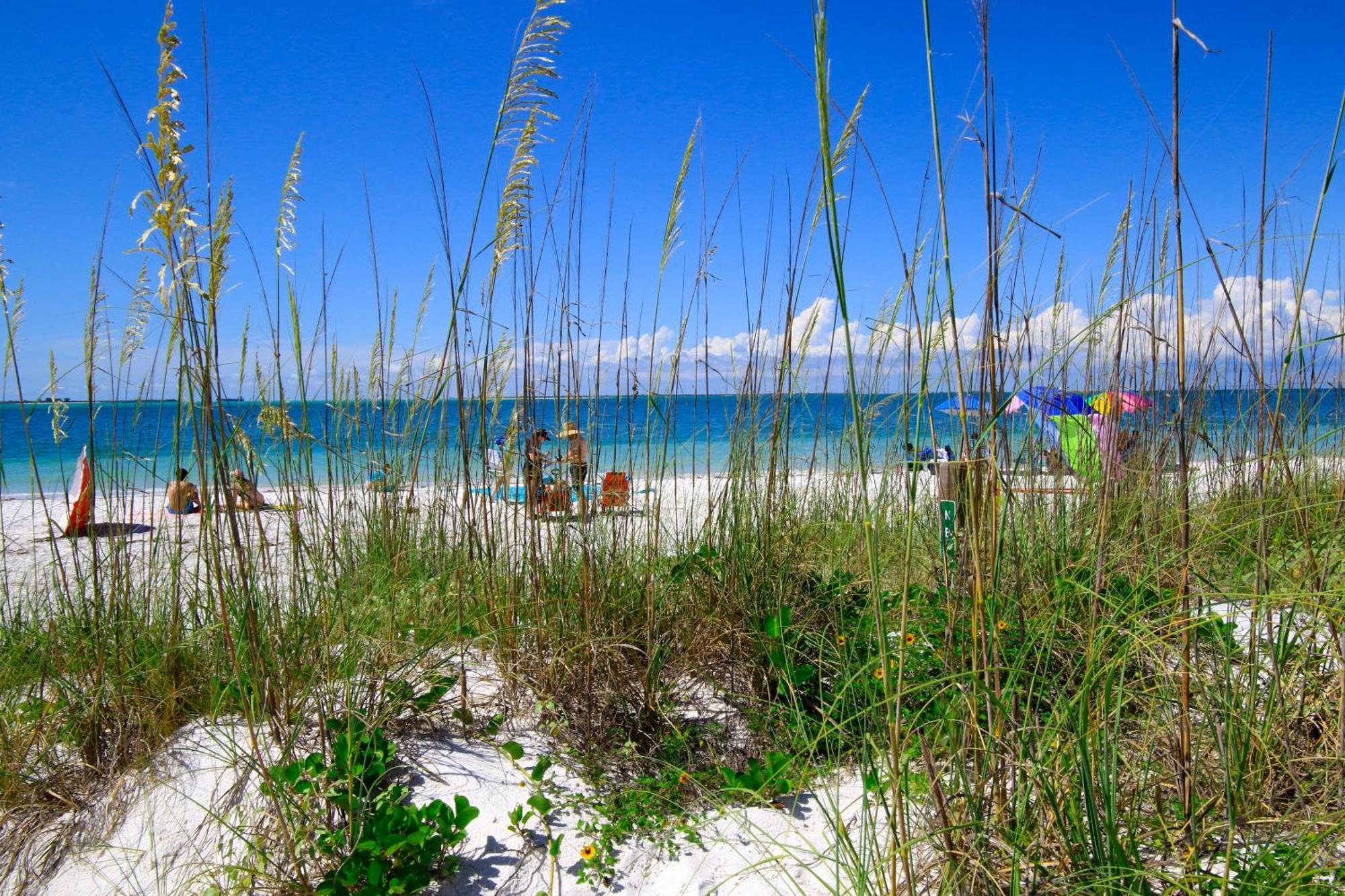 Anna Maria Island Runaway Tropical Dream-One Minute Walk To The Beach-Heated Pool เบรเดนทันบีช ภายนอก รูปภาพ