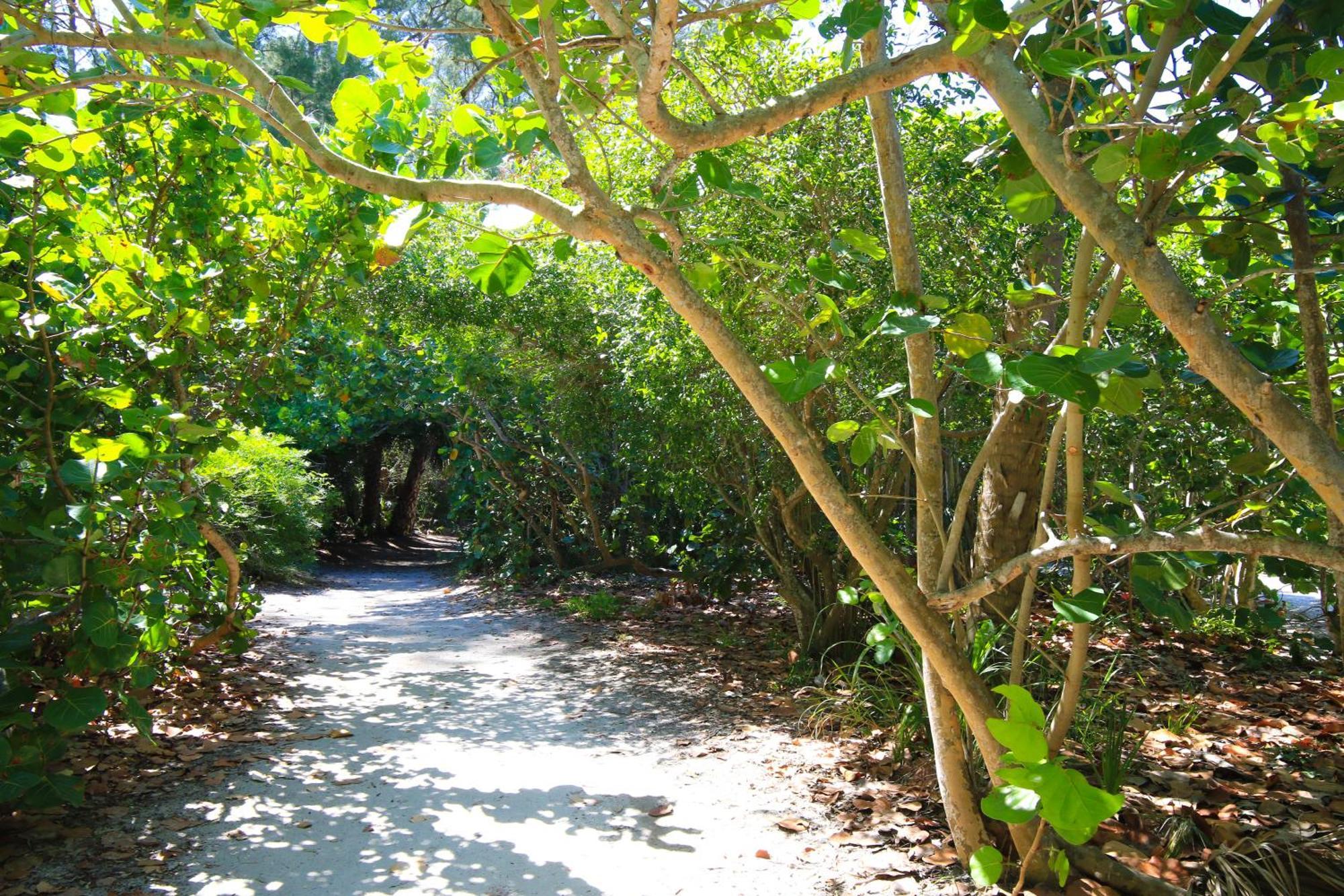 Anna Maria Island Runaway Tropical Dream-One Minute Walk To The Beach-Heated Pool เบรเดนทันบีช ภายนอก รูปภาพ